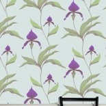 Orchids