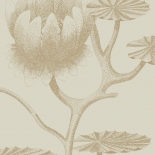 Lilies