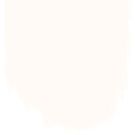 Stucco  no 5  perfect paint 