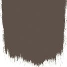 Cocoa bean  no 15  perfect paint 