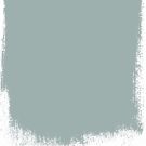 Eucalyptus leaf  no 73  perfect paint 