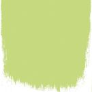 Lime tree  no 96  perfect paint 