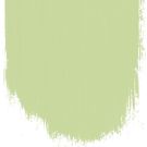 Cardamon pod  no 103  perfect paint 