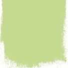 Mimosa leaf  no 101  perfect paint 