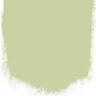 Thé vert  no 108  perfect 