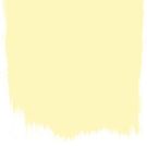 Primrose  no 118  perfect paint 