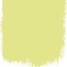 Alchemilla  no 112  perfect paint 