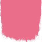 Island hibiscus  no 124  perfect paint 
