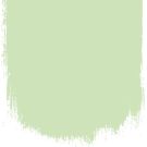 Peppermint cream  no 97  perfect paint 