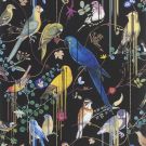 Birds sinfonia