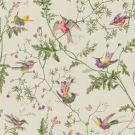 Hummingbirds