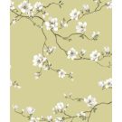 MOONLACE MAGNOLIA