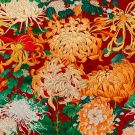 Chrysanthemums