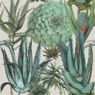 Succulentus