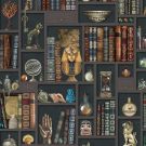 Cabinet of Curiosities