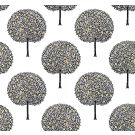 FRUIT TREES