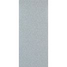 Cambium