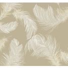 Shades of White Feather
