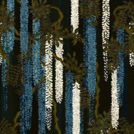 Wisteria alba - Aqua & Blue Wallpaper