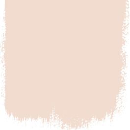 Pink salt  no 160  perfect paint 