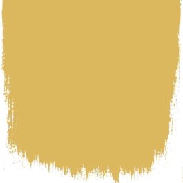 Shore lichen  no 168  perfect paint  - Paints