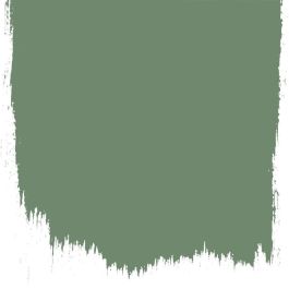 Herbarium  no 174  perfect paint 