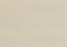 RAFIA PLAIN