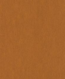 Shine - Peach & Terracotta Wallpaper