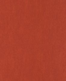 Shine - Red Wallpaper