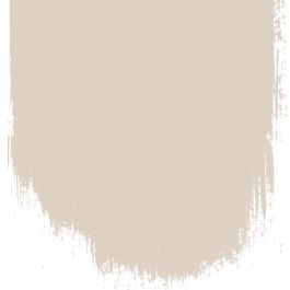 Cantucci biscuit  no 19  perfect paint 