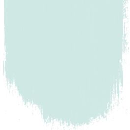 Fresh mint  no 75  perfect paint 