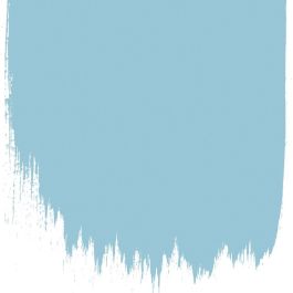 Jay's feather  no 67  perfect paint 