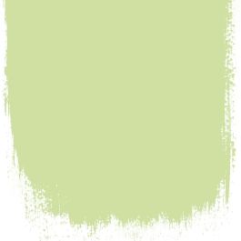 Green melon  no 102  perfect paint  - Paints