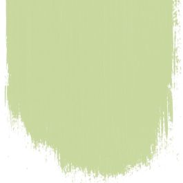 Cardamon pod  no 103  perfect paint  - Paints