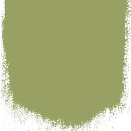 Asparagus fern  no 94  perfect paint  - Paints