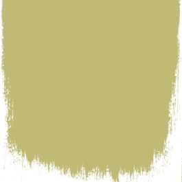 Fenouil  no 110  perfect paint  - Paints