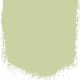 Thé vert  no 108  perfect 