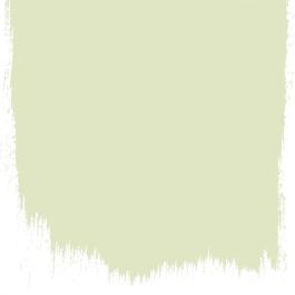 Artichoke  no 104  perfect paint 