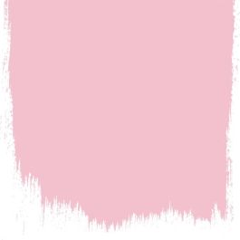 Dianthus pink  no 132  perfect paint  - Paints