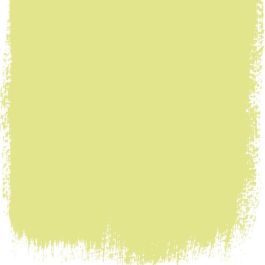 Alchemilla  no 112  perfect paint 