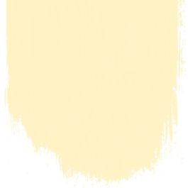 Custard cream  no 117  perfect paint 
