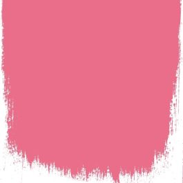 Island hibiscus  no 124  perfect paint 