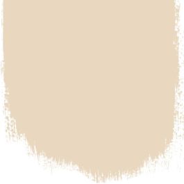 Sandstone  no 8  perfect paint  - Paints
