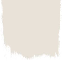 Silver birch  no 13  perfect paint  - Paints