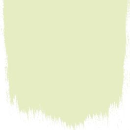 Williams pear  no 111  perfect paint  - Paints