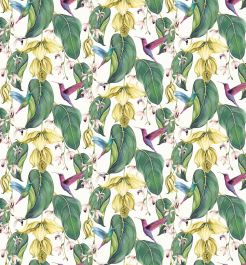 TRAILING ORCHID OUTDOOR - Multi colour