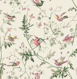 Hummingbirds Cotton Fabrics