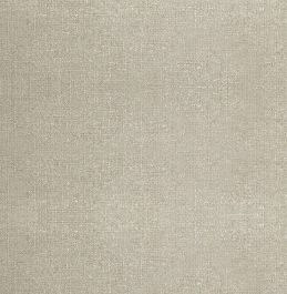 FUJI & JAVA PLAIN