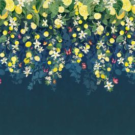 Trailing Citrus Mural - Aqua & Blue Wallpaper