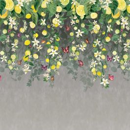 Trailing Citrus Mural - Grey Wallpaper